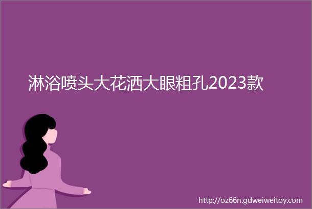 淋浴喷头大花洒大眼粗孔2023款