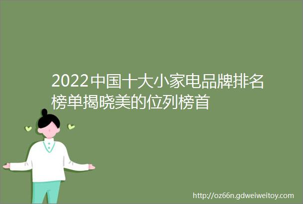 2022中国十大小家电品牌排名榜单揭晓美的位列榜首